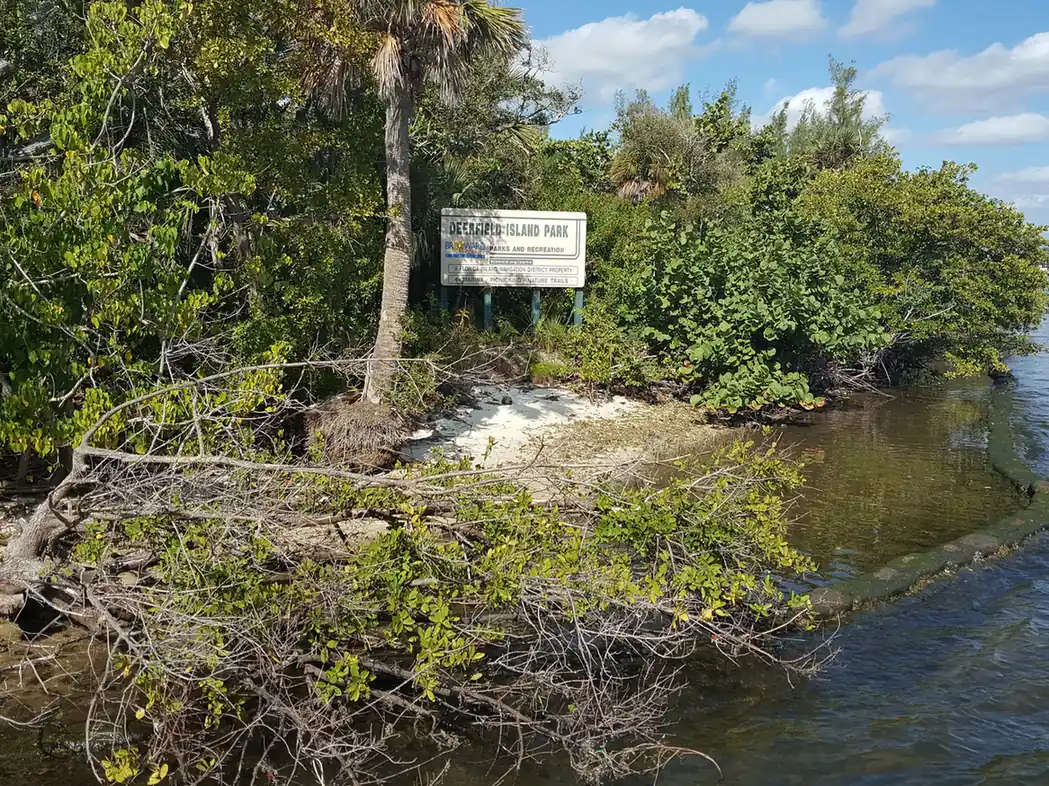 The shore of Deerfield Island Park with mangroves, sea grapes and a park sign above a small sandy cove on the Intracoastal Waterway.