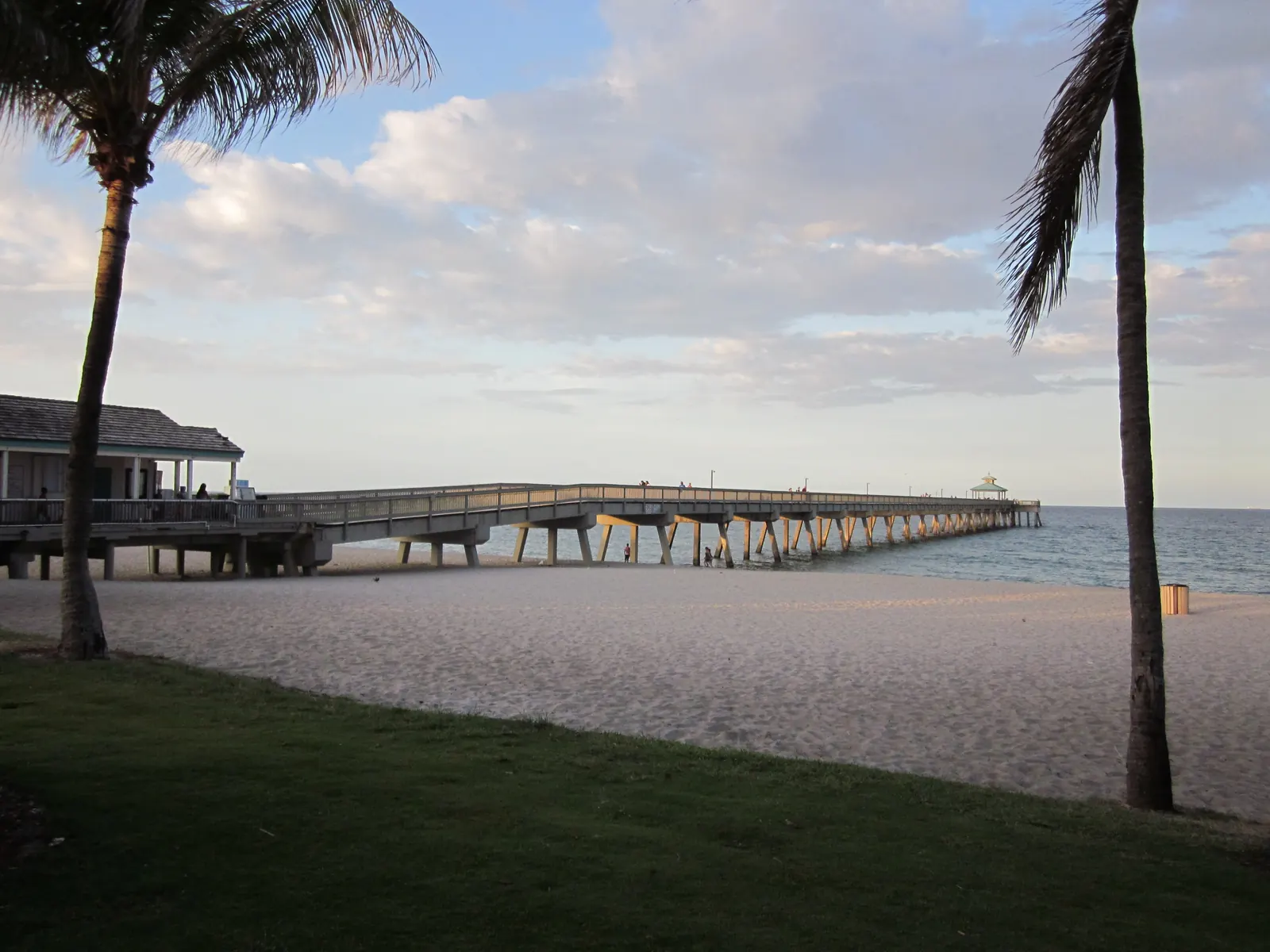 Two palm trees frame the long Deerfield Beach pier stretching over the ocean from a quiet beach, with a pier building at its foot.